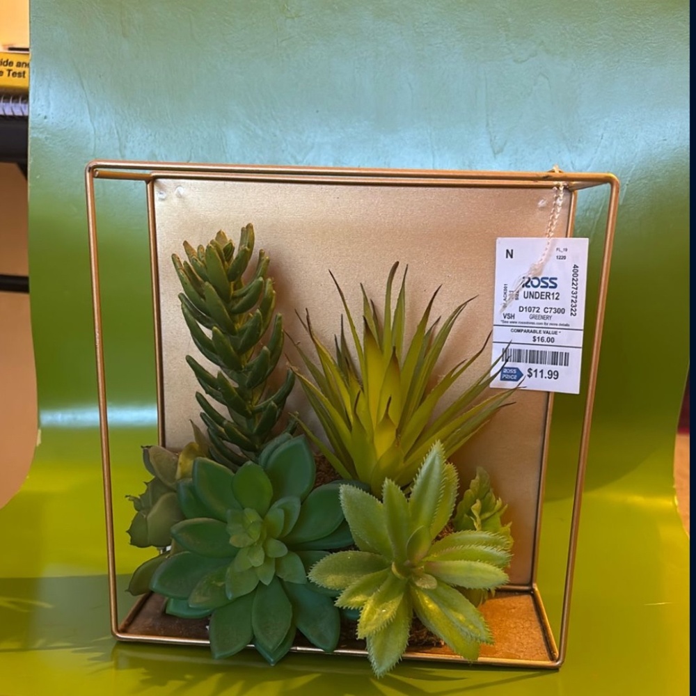 Modern Wall Decor - Artificial Succulent Frame